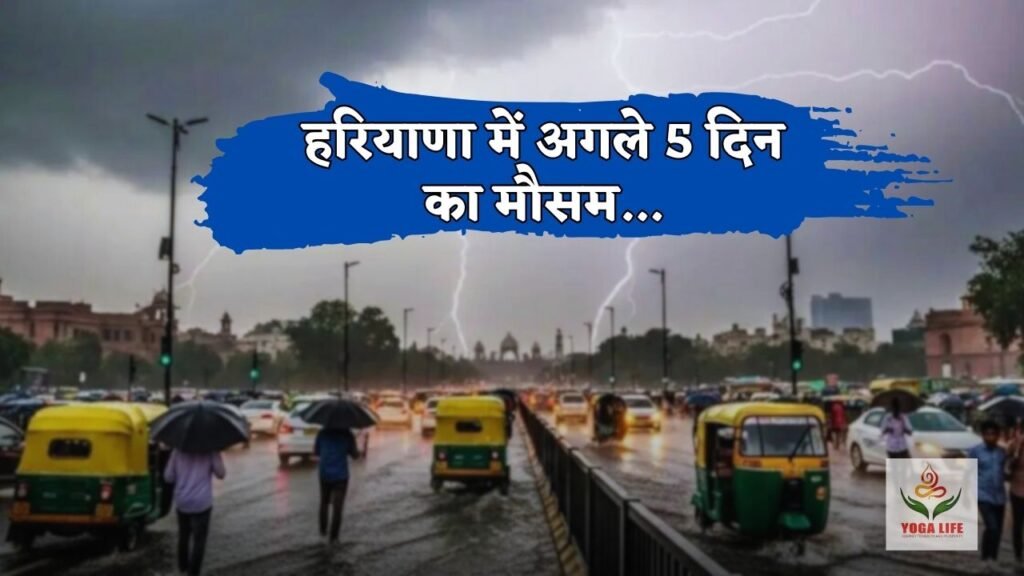 The weather will be like this in Haryana for the next 5 days