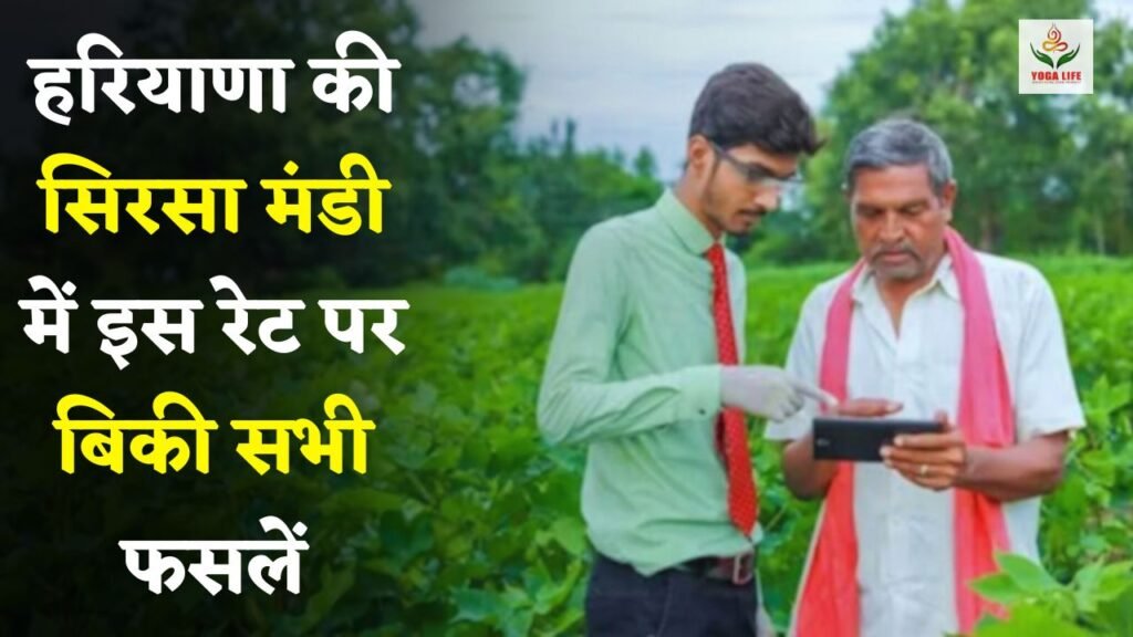 All crops sold at this rate in Sirsa Mandi of Haryana